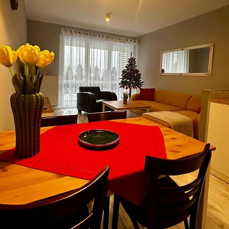 Apartament Z Widokiem Na Szyndzielnie Bielsko-Biała Kültér fotó